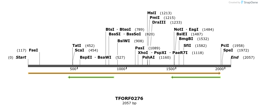 279296_map