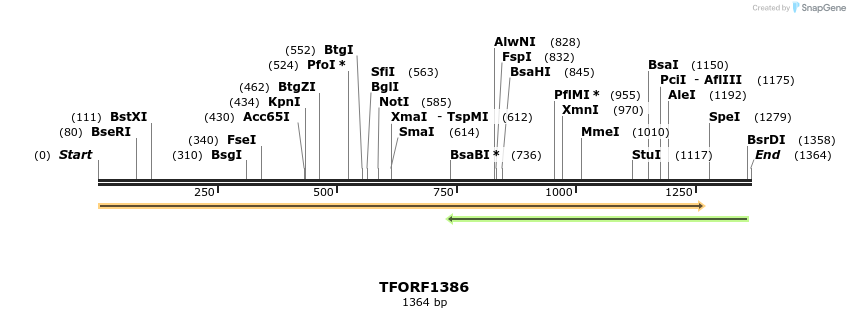 279299_map