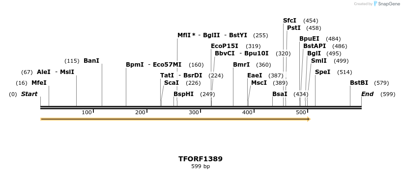 279302_map