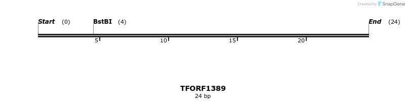 279303_map