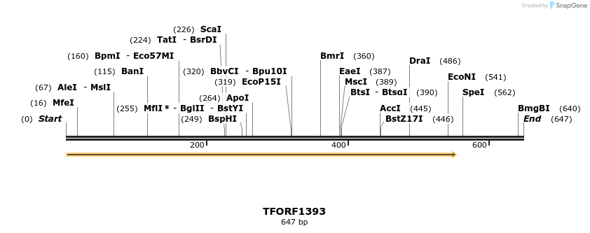 279305_map