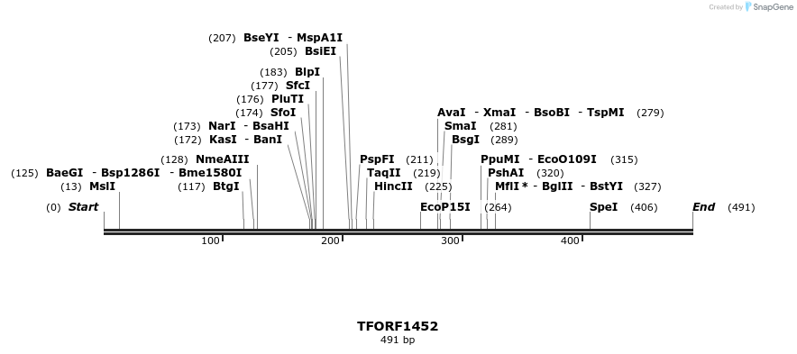 279308_map