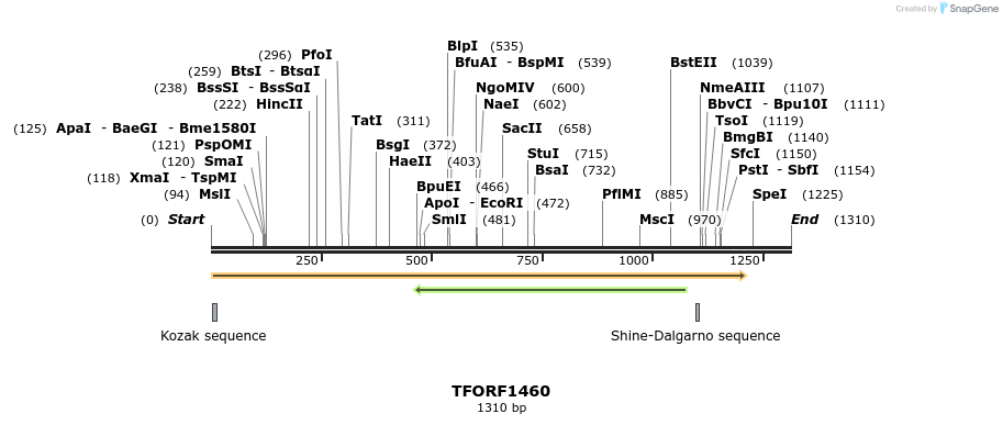 279311_map