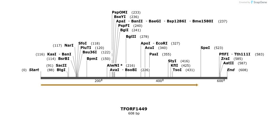 279314_map