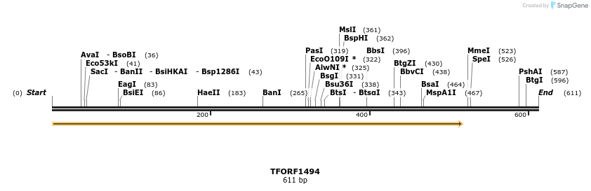 279317_map