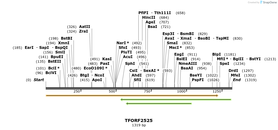279323_map