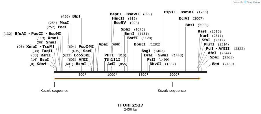 279326_map