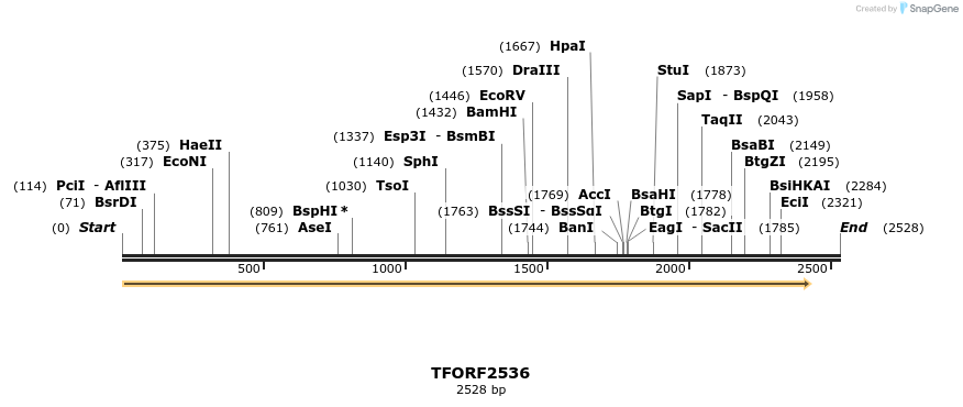 279329_map