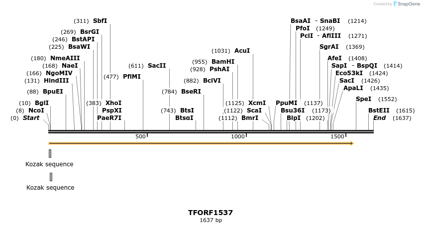279332_map