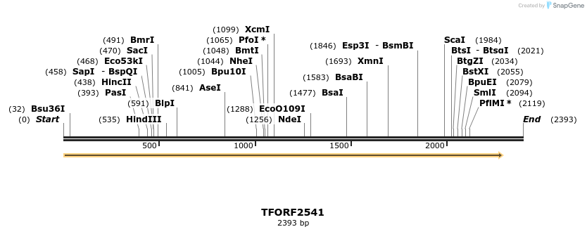 279335_map