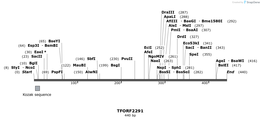 279344_map
