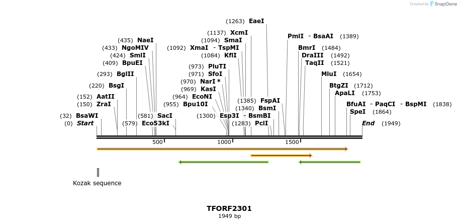279347_map