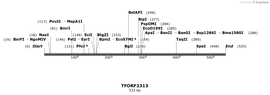 279350_map
