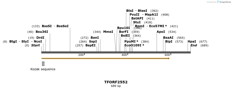 279353_map