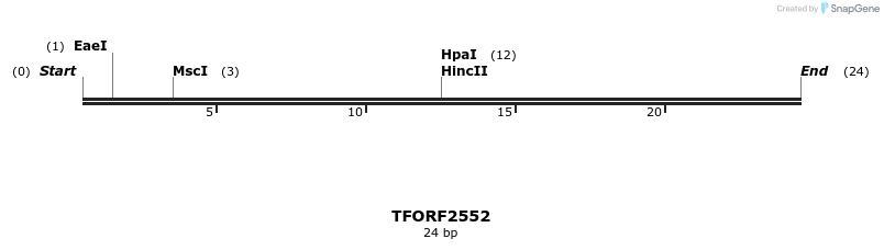 279354_map