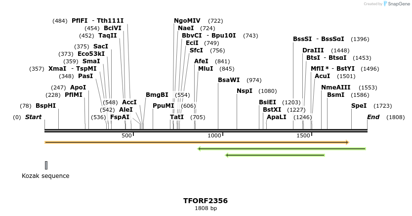 279362_map