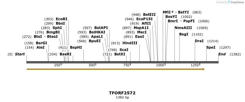 279365_map