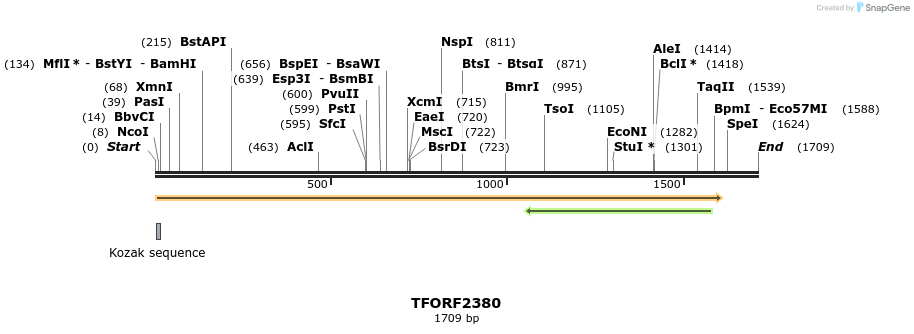 279368_map