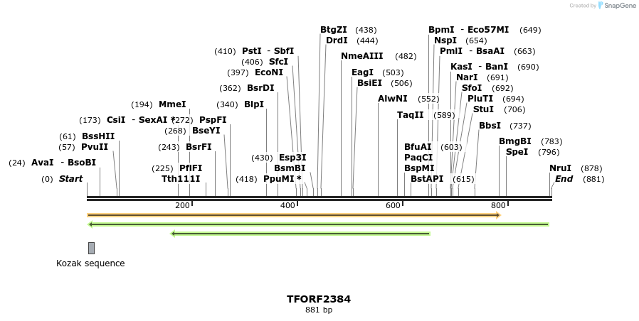 279371_map