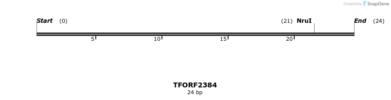 279372_map