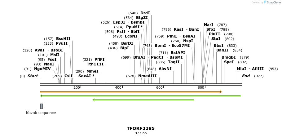 279374_map