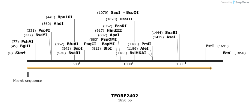 279377_map