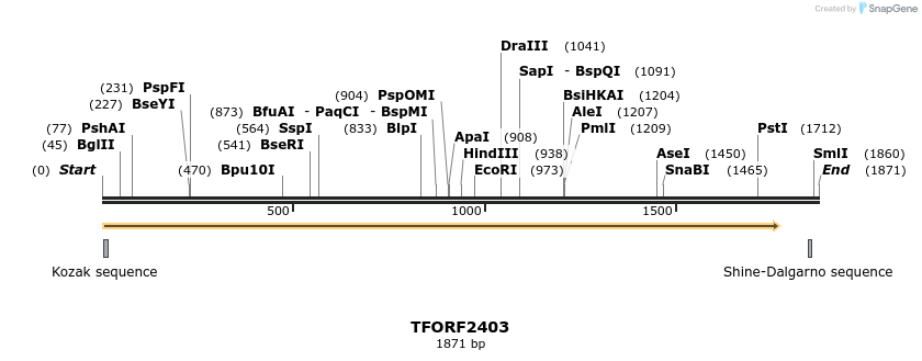 279380_map