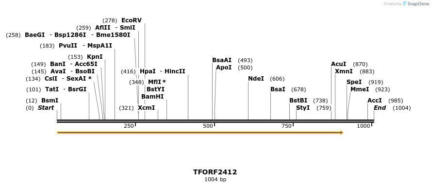 279383_map
