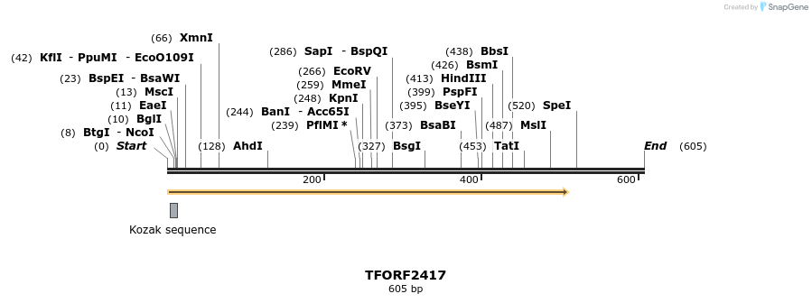 279392_map
