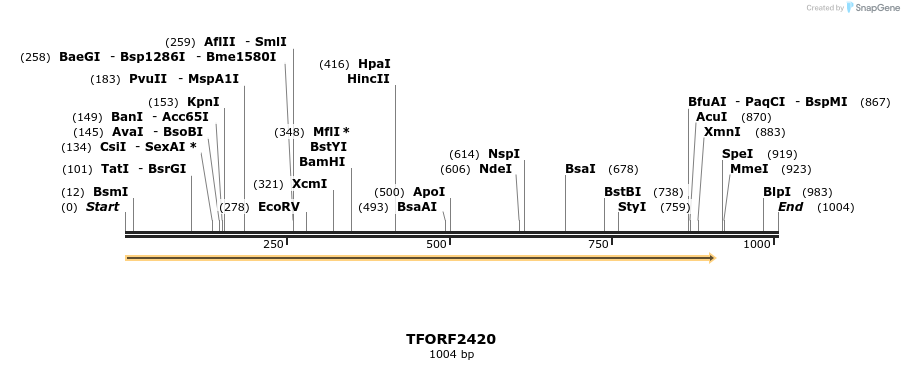 279398_map