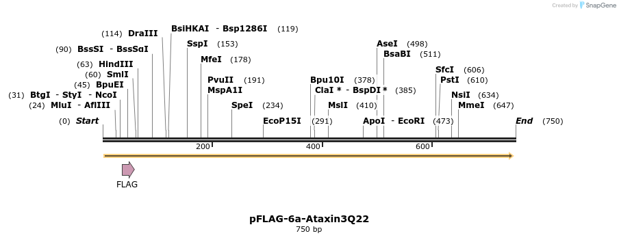 27940_map