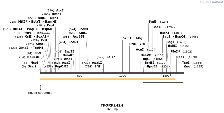 279401_map