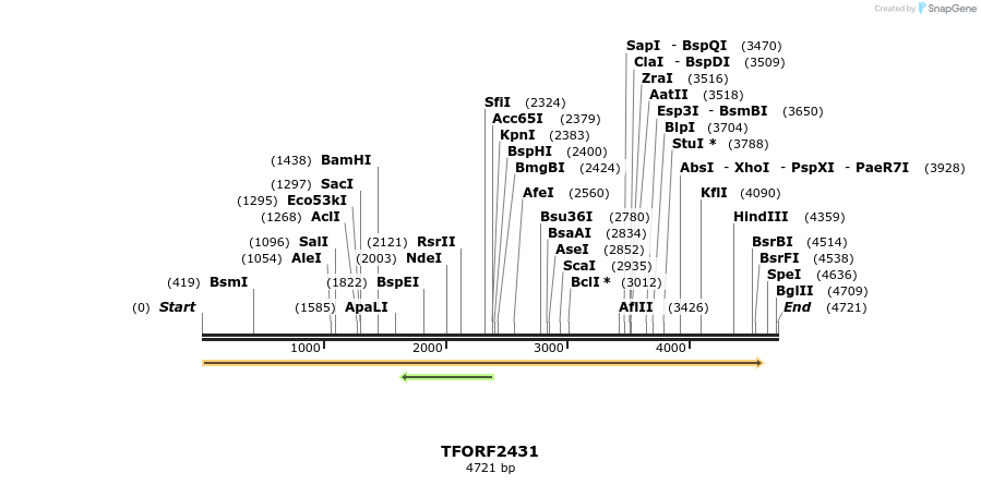 279404_map