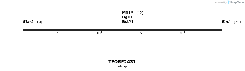 279405_map