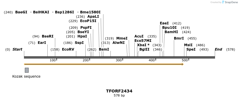 279407_map