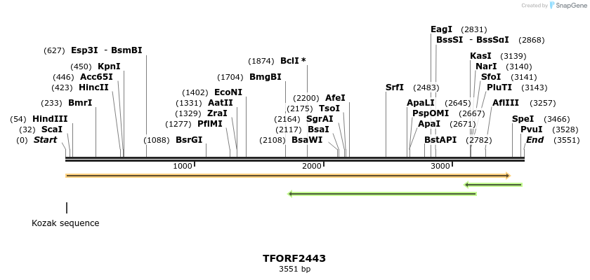 279413_map
