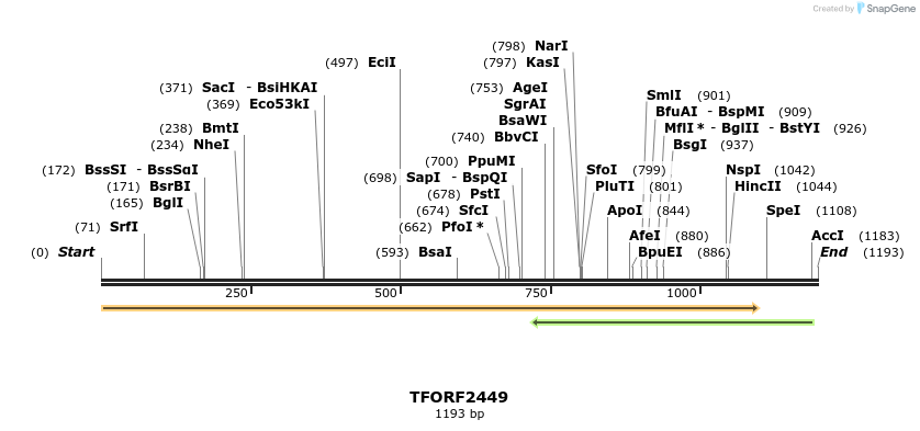 279416_map