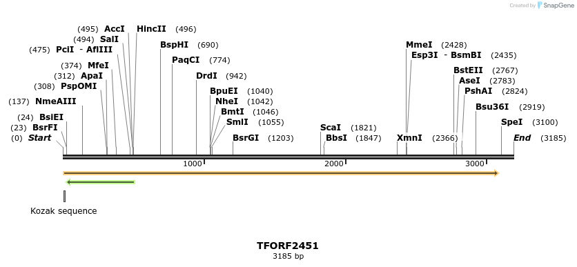 279422_map