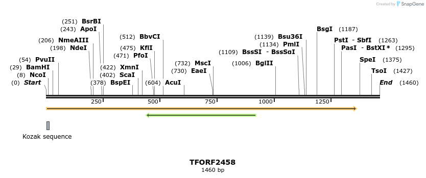 279425_map