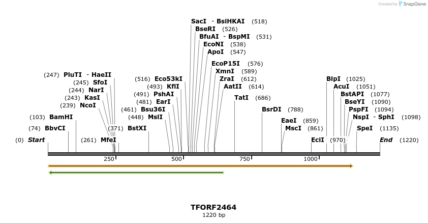 279428_map