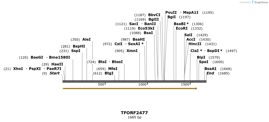279431_map