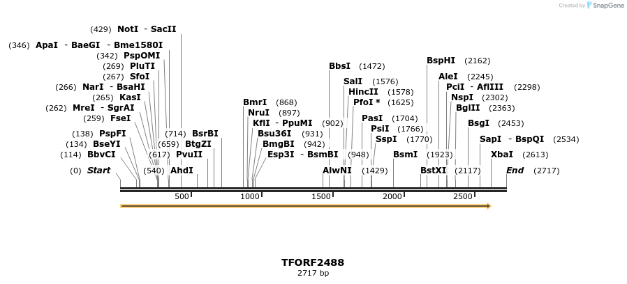 279434_map