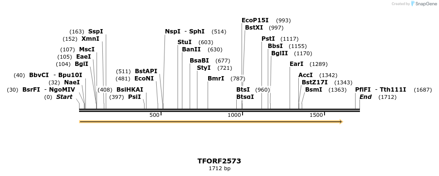 279443_map