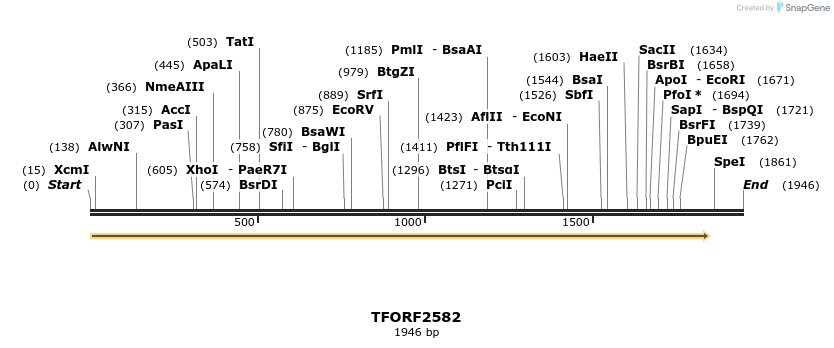 279446_map