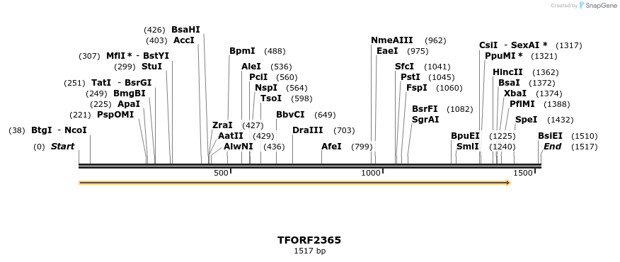 279449_map