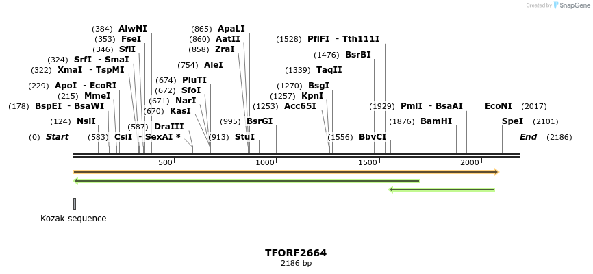 279452_map