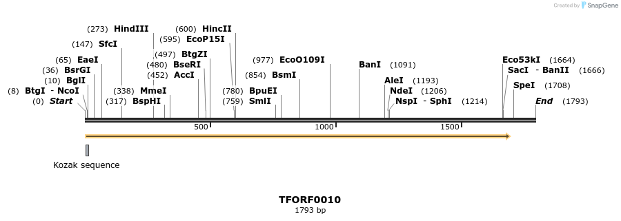 279455_map