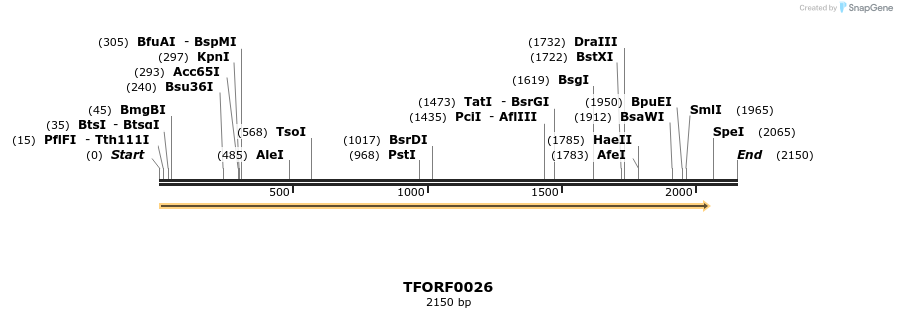 279458_map