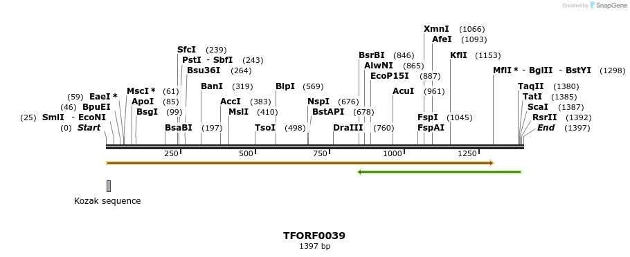 279461_map