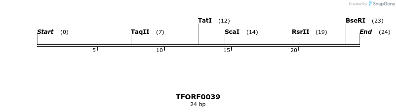 279462_map